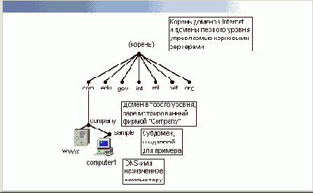  DNS  